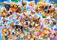 bluebird-puzzle-selfie-pet-collage-jigsaw-puzzle-1000-pieces.79133-1.jpg