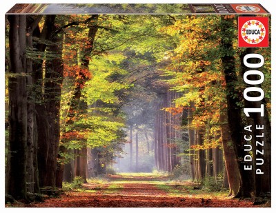Educa 1000 - Fall Walkway