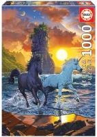 19025_01_high.jpg