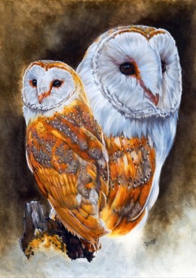 Bluebird 1500 - Lustrous