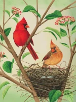 new-york-puzzle-company-xxl-pieces-northern-cardinals-jigsaw-puzzle-500-pieces.85611-1.fs.jpg
