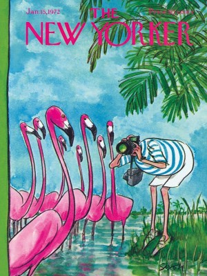 New York Puzzle Company 500 - Flamingo Photographer