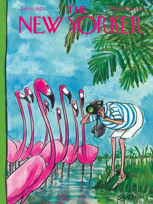 new-york-puzzle-company-xxl-pieces-flamingo-photographer-jigsaw-puzzle-500-pieces.85795-1.fs.jpg