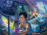 new-york-puzzle-company-xxl-pieces-harry-potter-counting-the-days-jigsaw-puzzle-500-pieces.85603-1.fs.jpg