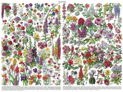 New York Puzzle Company 1000 - Flowers - Fleurs