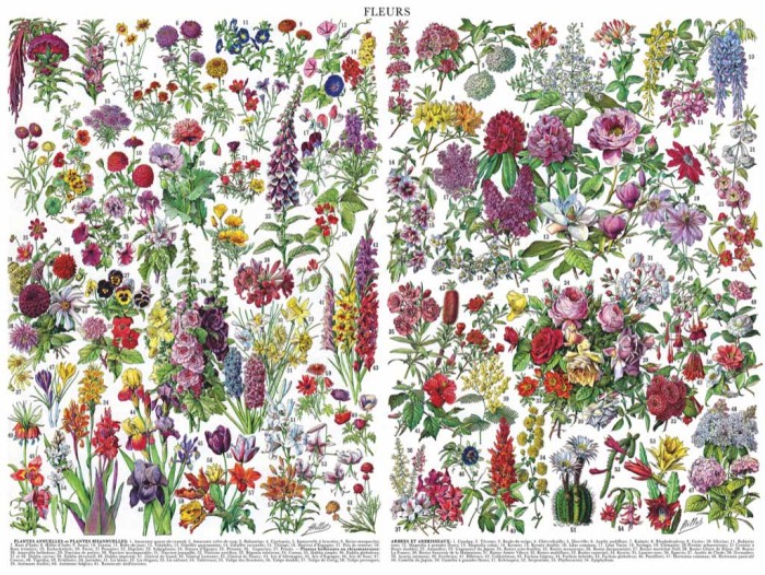 new-york-puzzle-company-flowers-fleurs-jigsaw-puzzle-1000-pieces.85905-1.fs.jpg
