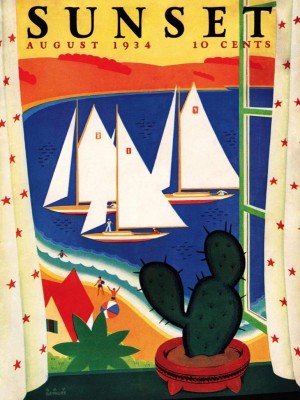 New York Puzzle Company 1000 - Succulent View