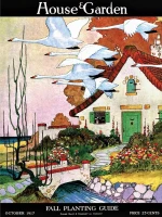 new-york-puzzle-company-swan-cottage-jigsaw-puzzle-1000-pieces.85901-1.fs.jpg