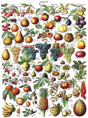 New York Puzzle Company 1000 - Fruits