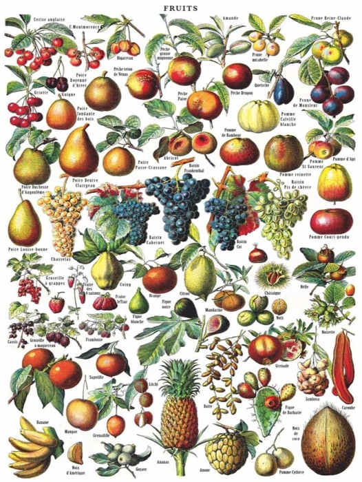 new-york-puzzle-company-fruits-jigsaw-puzzle-1000-pieces.85904-1.fs.jpg