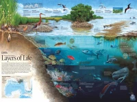 new-york-puzzle-company-layers-of-life-jigsaw-puzzle-1000-pieces.85582-1.fs.jpg