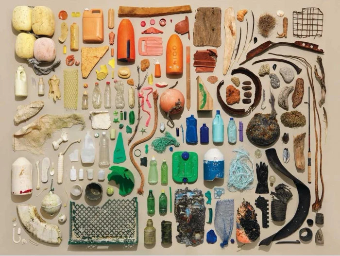 new-york-puzzle-company-beachcomber-collection-jigsaw-puzzle-1000-pieces.86095-1.fs.jpg