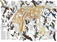 new-york-puzzle-company-eastern-bird-migration-jigsaw-puzzle-1000-pieces.85922-1.fs.jpg