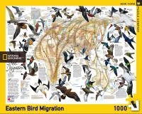 new-york-puzzle-company-eastern-bird-migration-jigsaw-puzzle-1000-pieces.85922-2.fs.jpg