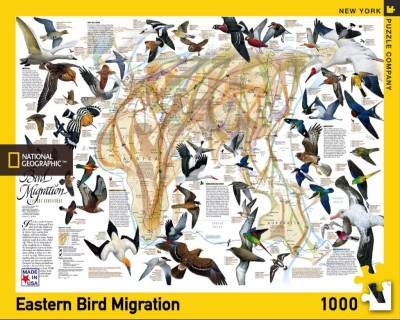 New York Puzzle Company 1000 - National Geographic - Eastern Bird Migration