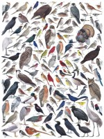 new-york-puzzle-company-birds-of-eastern-central-north-america-jigsaw-puzzle-1000-pieces.85580-1.fs.jpg