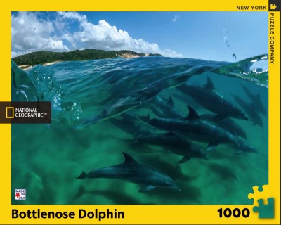New York Puzzle Company 1000 - National Geographic - Bottlenose Dolphins