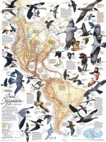 new-york-puzzle-company-bird-migration-jigsaw-puzzle-1000-pieces.85921-1.fs.jpg