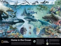 new-york-puzzle-company-home-in-the-ocean-jigsaw-puzzle-1500-pieces.86118-1.fs.jpg