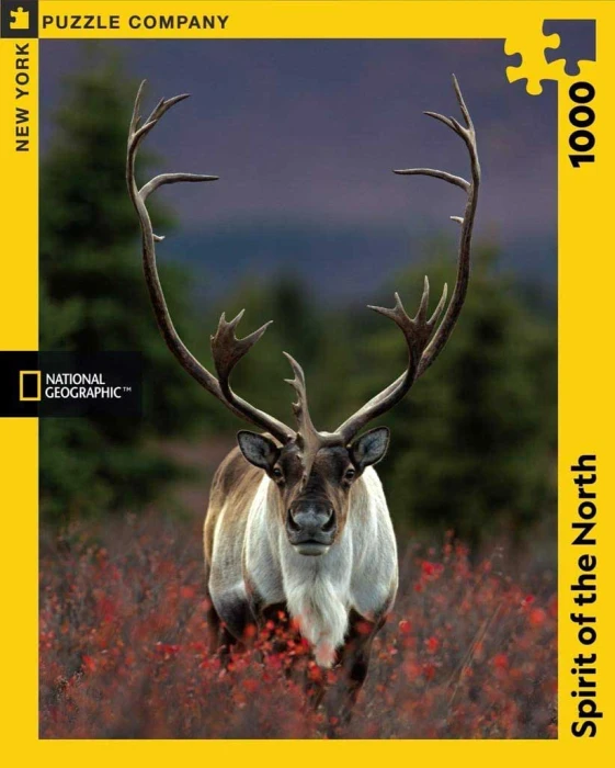 new-york-puzzle-company-spirit-of-the-north-jigsaw-puzzle-1000-pieces.85935-2.fs.jpg