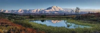 new-york-puzzle-company-denali-national-park-jigsaw-puzzle-1000-pieces.85932-1.fs.jpg