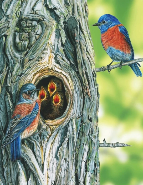 new-york-puzzle-company-western-bluebird-mini-jigsaw-puzzle-100-pieces.85503-1.fs.jpg