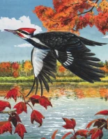new-york-puzzle-company-pileated-woodpecker-mini-jigsaw-puzzle-100-pieces.85500-1.fs.jpg