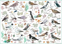seabirds-otter-house-puzzle.87314-1.fs.jpg