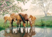 cobble-hill-outset-media-xxl-pieces-horse-family-jigsaw-puzzle-350-pieces.87330-1.fs.jpg