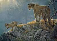 cobble-hill-outset-media-xxl-pieces-excursion-cougar-and-kits-jigsaw-puzzle-350-pieces.76970-1.fs.jpg