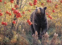cobble-hill-outset-media-xxl-pieces-den-dreams-jigsaw-puzzle-500-pieces.87339-1.fs.jpg