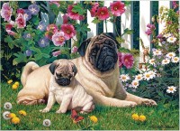 cobble-hill-outset-media-pug-family-jigsaw-puzzle-1000-pieces.87337-1.fs.jpg