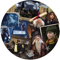 pol_pl_Puzzle-500-Harry-Potter-Kamien-Filozoficzny-17489_3.jpg