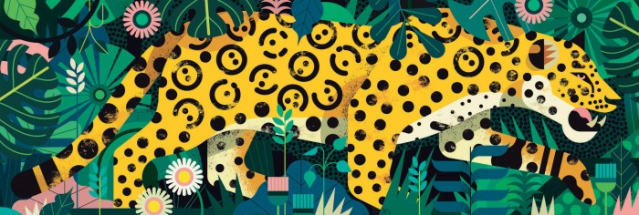 leopard.87386-1.fs.jpg