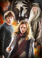 3-jigsaw-puzzles-harry-potter-jigsaw-puzzle-1000-pieces.84707-4.fs.jpg