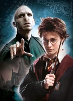 3-jigsaw-puzzles-harry-potter-jigsaw-puzzle-1000-pieces.84707-3.fs.jpg