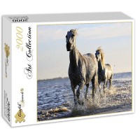 horses-jigsaw-puzzle-2000-pieces_55897-2_fs.jpg