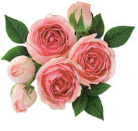 m-tvarove-puzzle-rose-2v1-500-dilku-113820.png