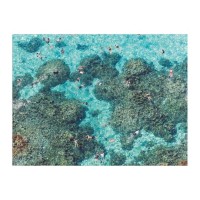 gray-malin-the-beach-two-sided-puzzle-2-sided-500-piece-puzzles-galison-829070_540x.jpg
