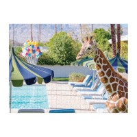 gray-malin-at-the-parker-500-piece-double-sided-jigsaw-puzzle-double-sided-500-piece-puzzle-gray-malin-collection-387861_540x.jpg