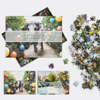 gray-malin-at-the-parker-double-sided-500-piece-jigsaw-puzzle-500-piece-puzzles-gray-malin-605589_540x (1).png