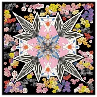 m-oboustranne-puzzle-christian-lacroix-kvetinova-galaxie-500-dilku-135702.jpg