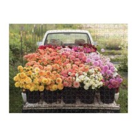 floret-farms-cut-flower-garden-2-sided-500-piece-puzzle-2-sided-500-piece-puzzles-galison-241130_540x.jpg