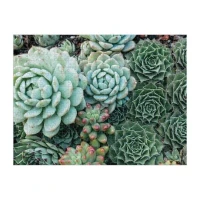 succulent-garden-2-sided-500-piece-puzzle-2-sided-500-piece-puzzles-galison-850007_540x.jpg