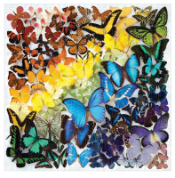 m-ctvercove-puzzle-duhovi-motyli-500-dilku-113837.png