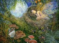 josephine-wall-fairy-nest-jigsaw-puzzle-2000-pieces_61757-1_fs.jpg
