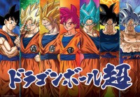 pol_pl_Puzzle-300-el-Dragon-Ball-Super-8101_2.jpg