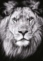 royal-portrait-jigsaw-puzzle-1000-pieces.85735-1.fs.jpg