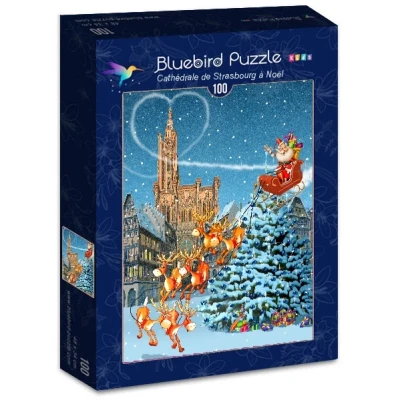 Bluebird 100 - Francois Ruyer, Cathedrale de Strasbourg a Noel