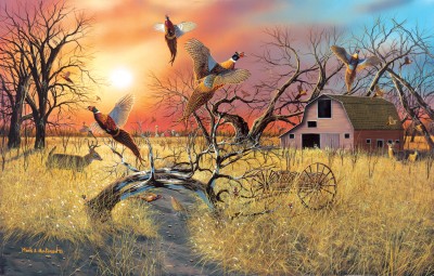 SunsOut 1000 - Mark S Anderson - Pheasant Flight